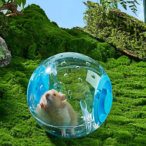 Hamster Exercise Ball Transparent