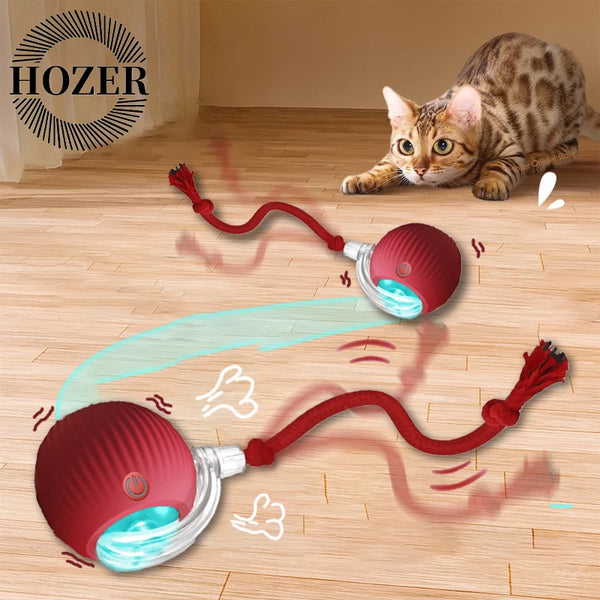 Cat Interactive Ball Toys Rechargeable