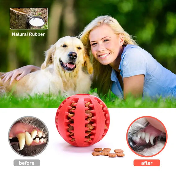 Dog Food Ball Interactive Rubber Toy