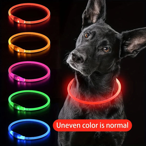 Pet Dog LED Light Collar Luminous