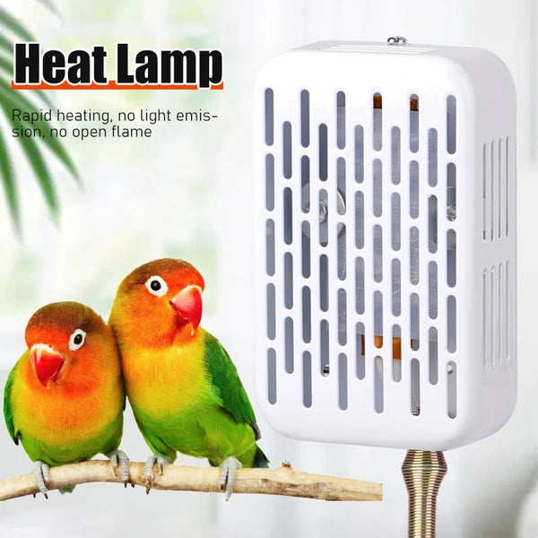 Bird Cage Heater with Natural Light