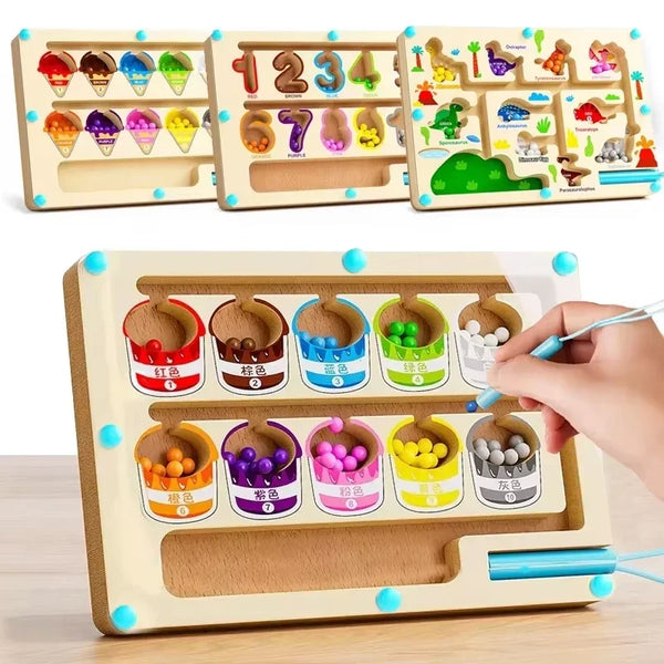 Montessori Magnetic Maze Board