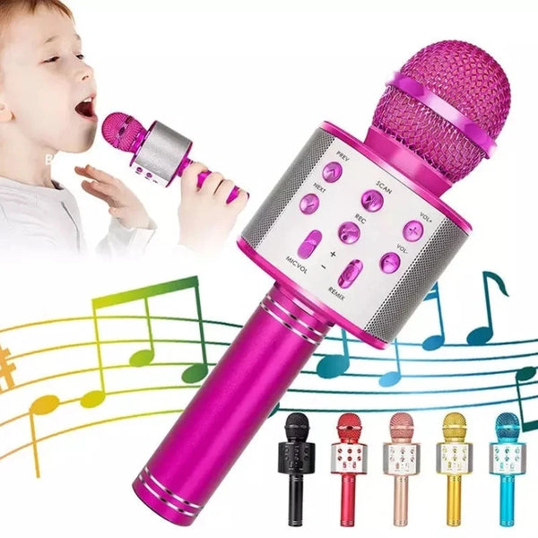 Professional Handheld Wireless Karaoke Microphone